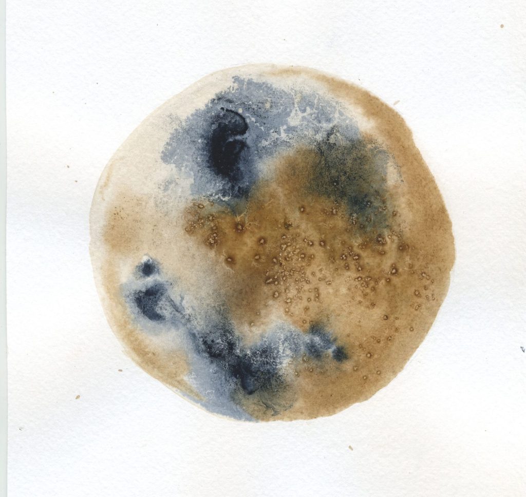 botanical ink 9