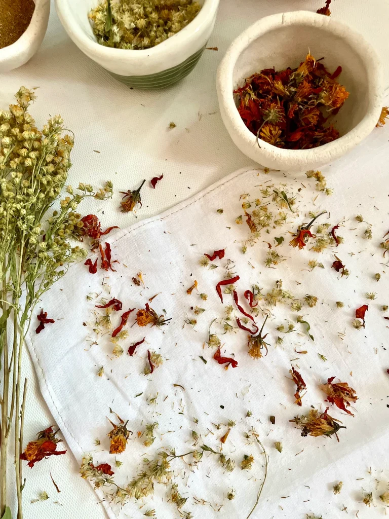 Botanical Bundle Dye Kit