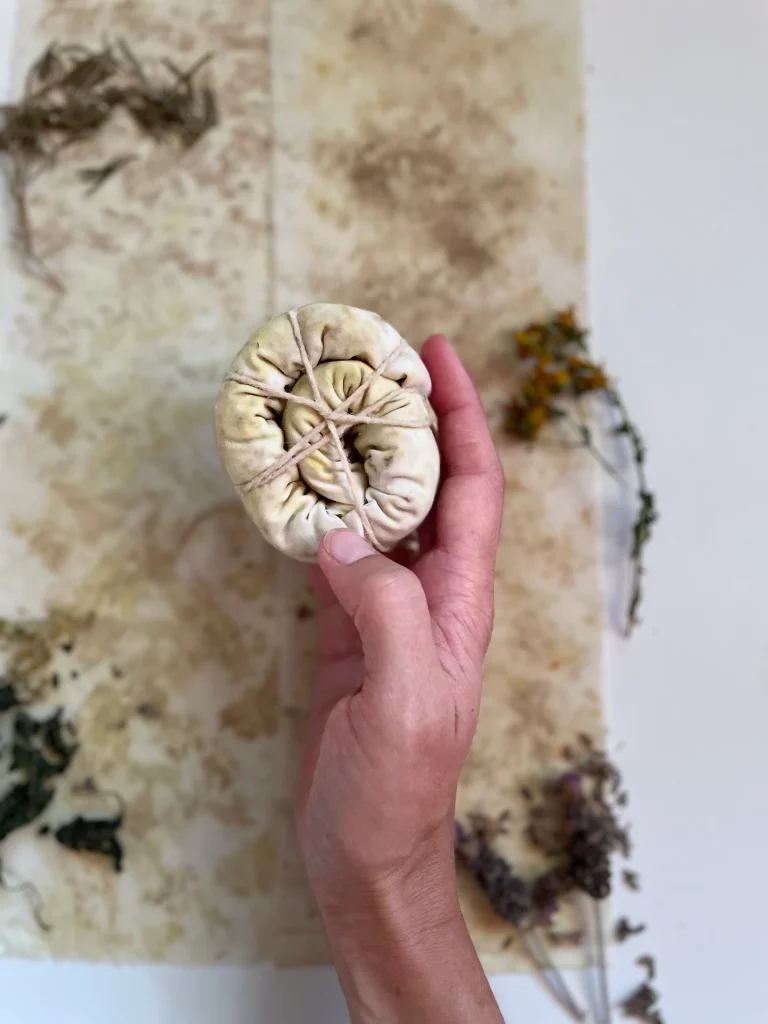 Botanical Bundle Dye Kit