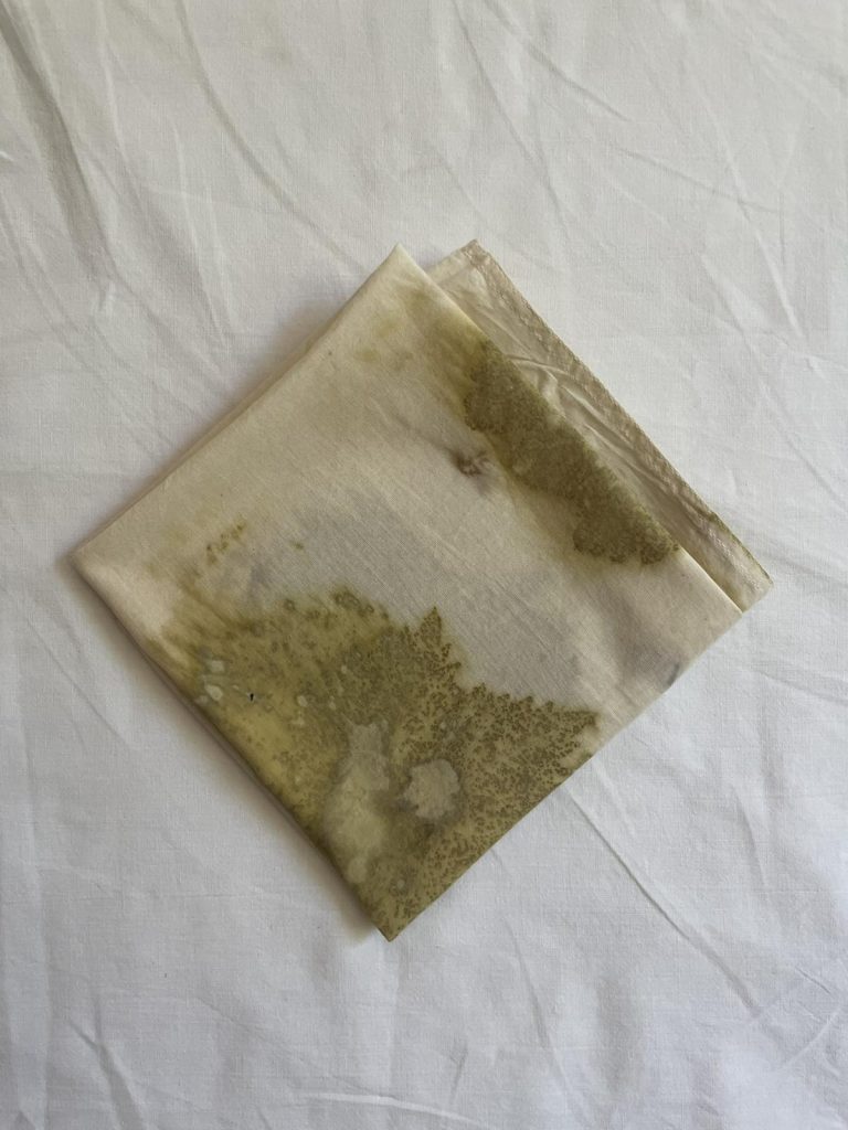 Grape Leaves Bandana