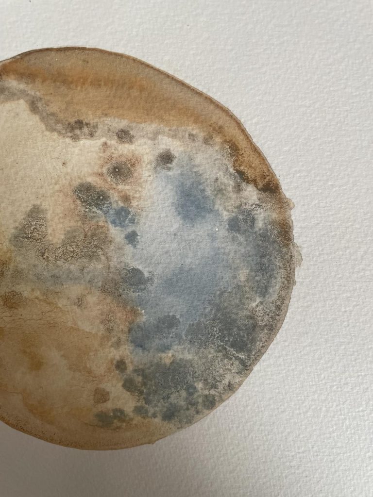 botanical ink 7