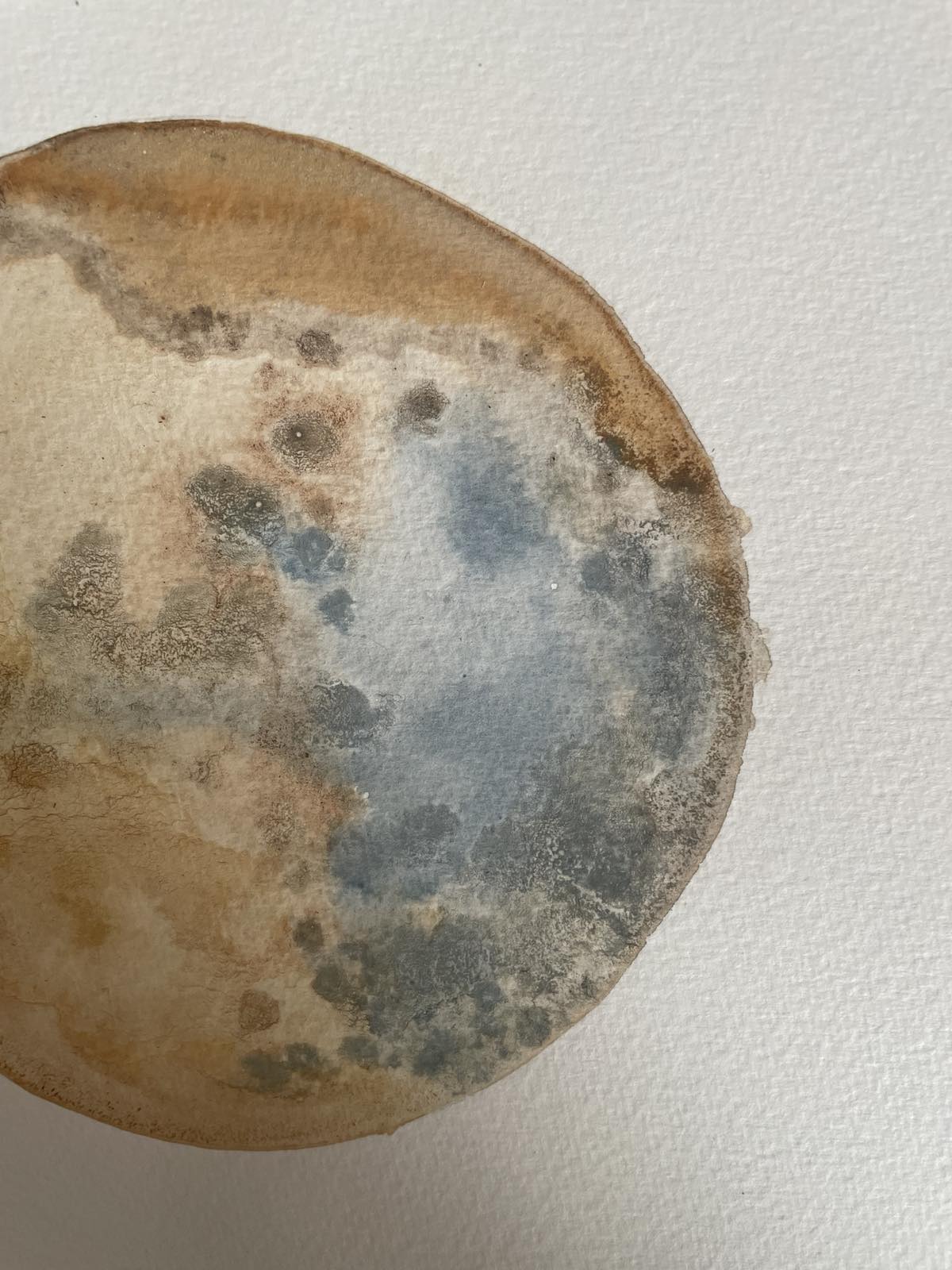 botanical ink 7 - Image 2