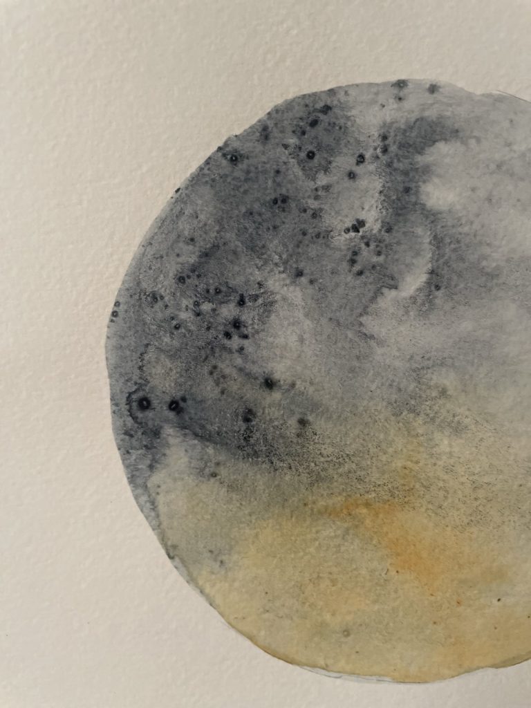 botanical ink 8