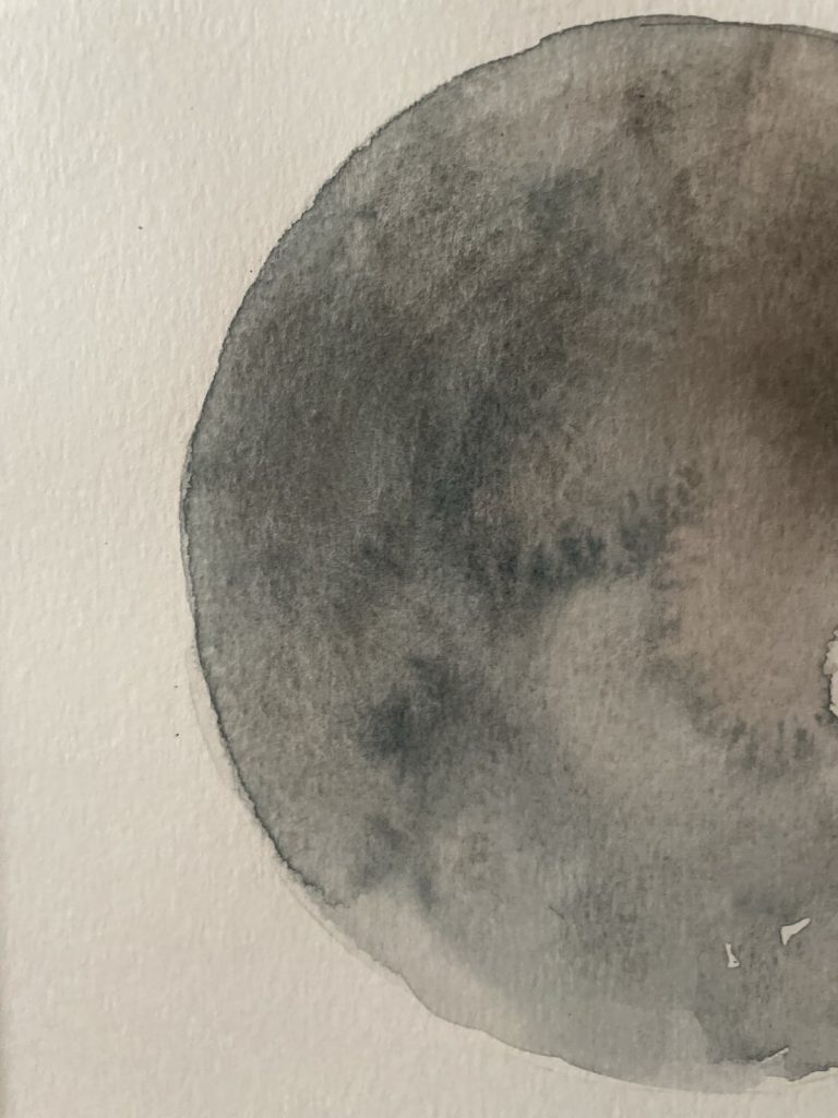 botanical ink 4