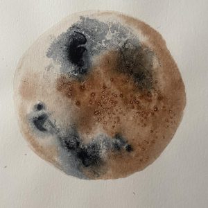 botanical ink 9 - Image 2