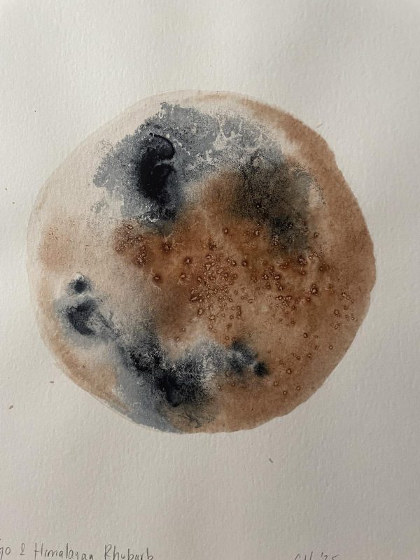botanical ink 9