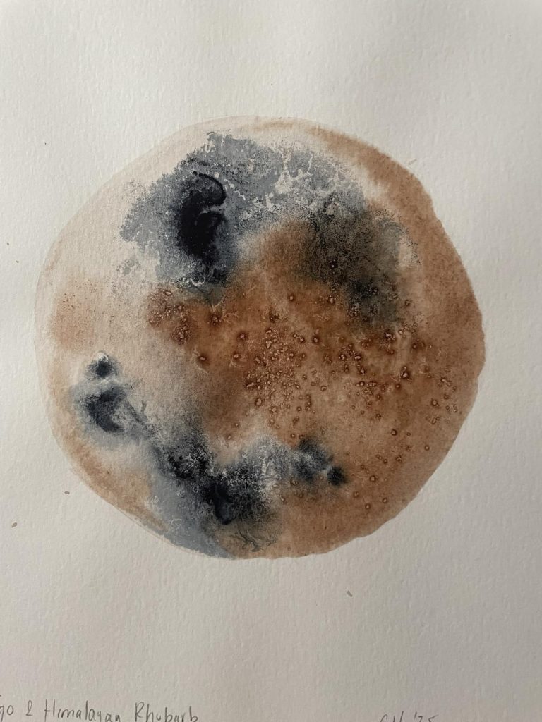 botanical ink 9