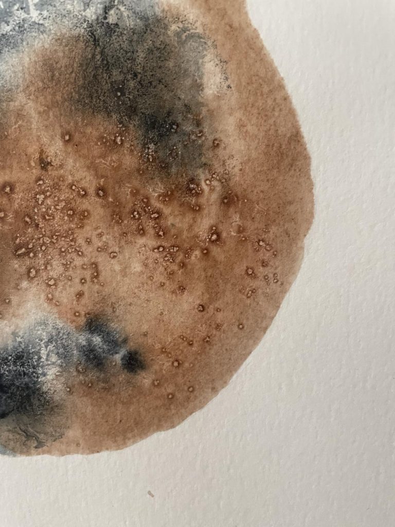 botanical ink 9