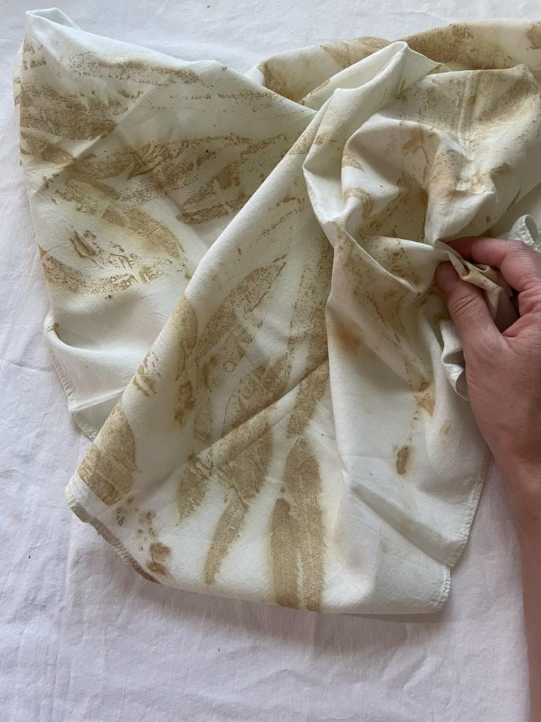 eucalyptus bandana 2