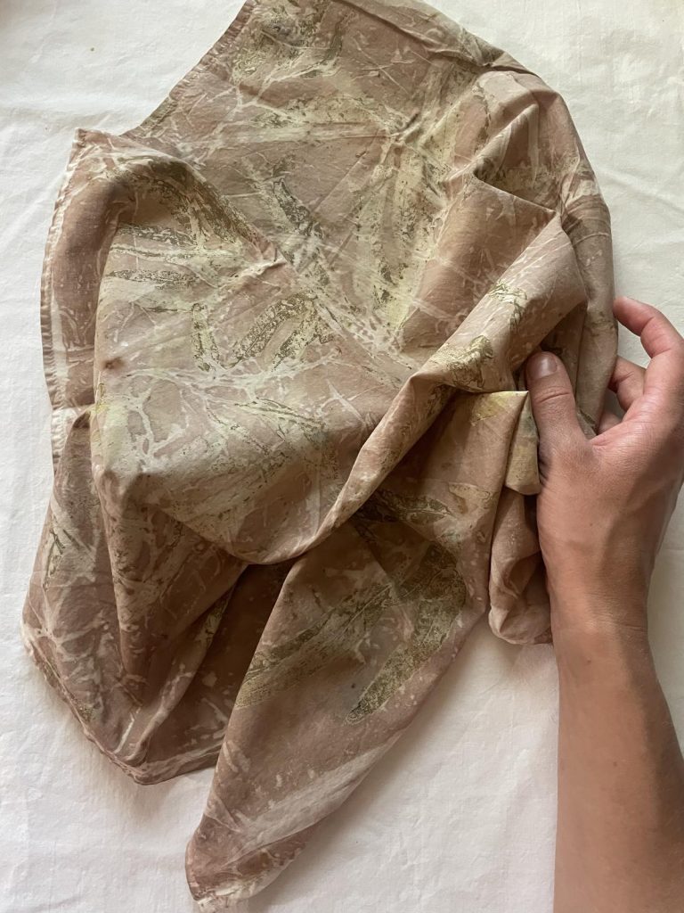 eucalyptus bandana