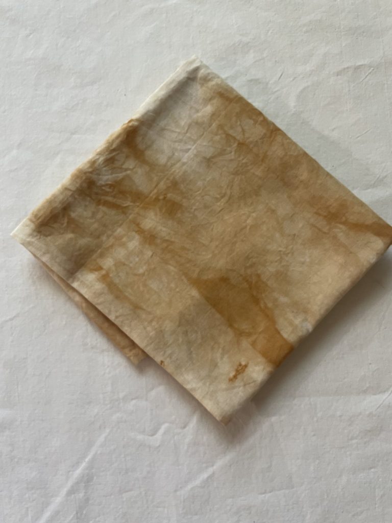 cosmos bandana