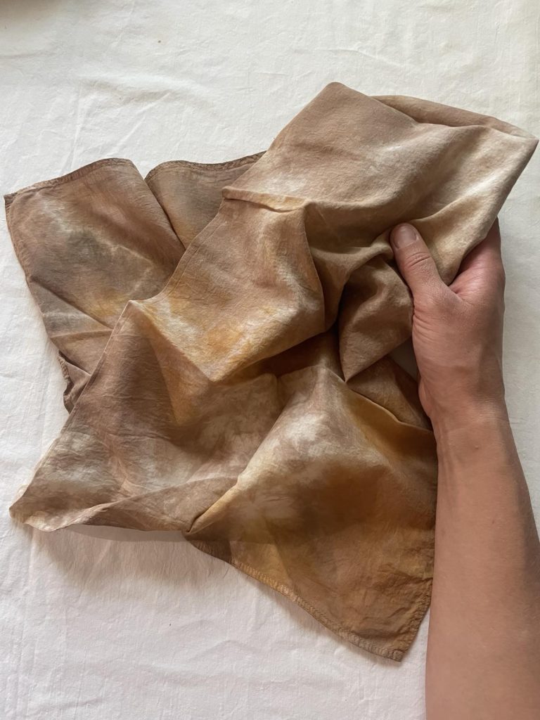 cosmos and walnut bandana